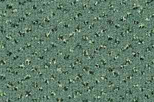 Ковровая плитка Desso Trapez 7833 фото  | FLOORDEALER