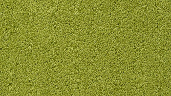 Ковролин Vorwerk Passion 1003 Vorwerk 4f82 фото 1 | FLOORDEALER