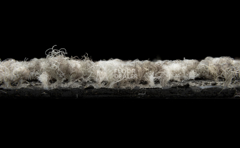 Balsan Carre Couture 600 Cesar фото 6 | FLOORDEALER