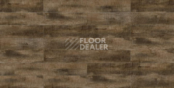Evofloor Life Click 4.2мм Дуб Капри фото 3 | FLOORDEALER
