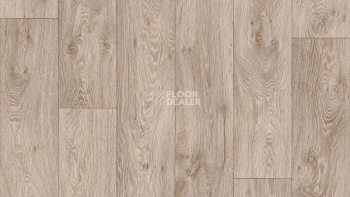 Линолеум Tarkett ENERGY Ampere 6 фото 1 | FLOORDEALER