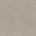 Ковролин Desso Asteranne 9538  | FLOORDEALER