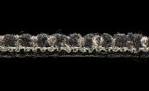 Tessera Contour 1901 Volcanic Brick фото 5 | FLOORDEALER