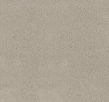 Ковролин Desso Asteranne 9538 фото 1 | FLOORDEALER