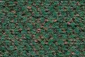 Ковролин Balsan Carrousel Carrousel 250 фото  | FLOORDEALER