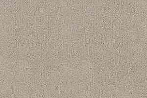 Ковролин Desso Asteranne 9538 фото  | FLOORDEALER