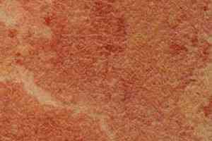 Линолеум Grabo Durity 4587-454 фото  | FLOORDEALER