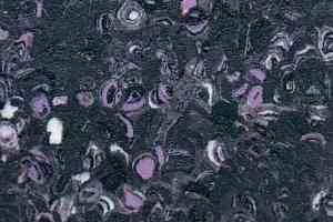 Линолеум Grabo Fortis Fitt Amethyst фото  | FLOORDEALER