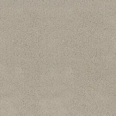 Ковролин Desso Asteranne 9538 фото 1 | FLOORDEALER