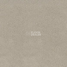 Ковролин Desso Asteranne 9538 фото 1 | FLOORDEALER