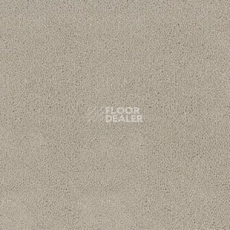 Ковролин Desso Asteranne 9538 фото 1 | FLOORDEALER