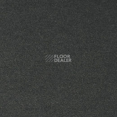 Ковролин Lano Pleasure Ple 0810 фото 1 | FLOORDEALER