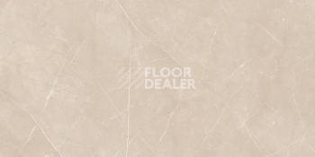 Nolana ( Нолана ) 60 x 120 x 10 NL01 фото 4 | FLOORDEALER