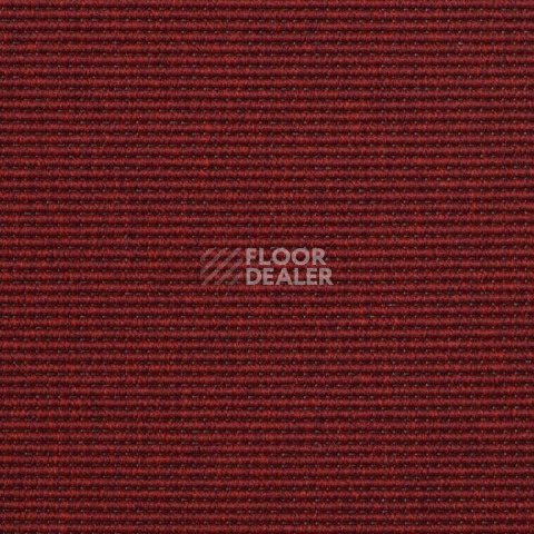 Ковролин Carpet Concept Yve 1 6527 фото 1 | FLOORDEALER