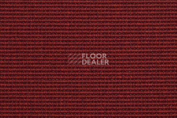 Ковролин Carpet Concept Yve 1 6527 фото 1 | FLOORDEALER