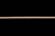 Forbo Emerald Standart 72415 фото 4 | FLOORDEALER