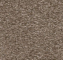 Ковролин Vorwerk Amiru 2b25 фото 1 | FLOORDEALER