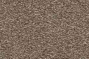 Ковролин Vorwerk Amiru 2b25 фото  | FLOORDEALER