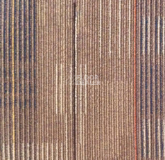 Ковровая плитка Escom Cube 8155 фото 1 | FLOORDEALER