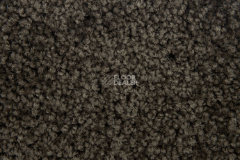 Haima Noble 67 фото 3 | FLOORDEALER