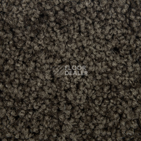 Haima Noble 67 фото 3 | FLOORDEALER