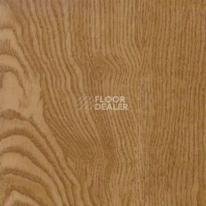 Линолеум Polyflor Kudos 1902 фото 1 | FLOORDEALER