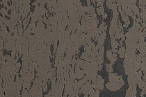 Пробковое покрытие Corkstyle Mountain настенное MERON фото 1 | FLOORDEALER