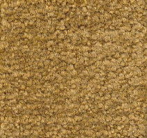 Ковролин Emphatic Beaulieu of America 56220 фото 1 | FLOORDEALER