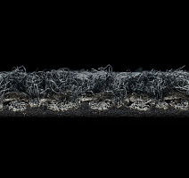 Tessera Chroma 3606 Tuxedo фото 6 | FLOORDEALER