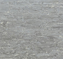 Линолеум Tarkett Alfa Standard Alfa 104 фото 1 | FLOORDEALER