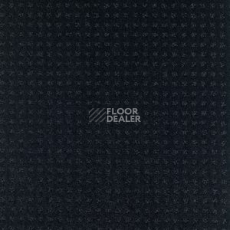 Ковролин Balsan Territoires Atrium 996 фото 1 | FLOORDEALER