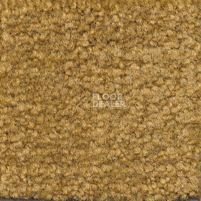 Ковролин Emphatic Beaulieu of America 56220 фото 1 | FLOORDEALER