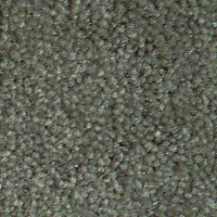 Ковролин Serene Beaulieu of America 12 фото 1 | FLOORDEALER