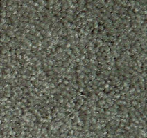 Ковролин Serene Beaulieu of America 12 фото 1 | FLOORDEALER