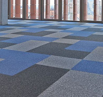 Ruscarpettiles Sparta