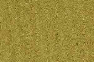 Ковролин Desso Asteranne 6122 фото  | FLOORDEALER