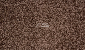 Ковролин Betap Makao 398 фото 1 | FLOORDEALER