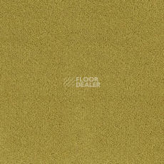 Ковролин Desso Asteranne 6122 фото 1 | FLOORDEALER