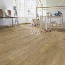 Kronotex Dynamic Plus d4771 Каллисто фото 3 | FLOORDEALER