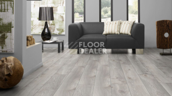 Kronotex Mammut Plus d4793 Дуб Белый Макро фото 4 | FLOORDEALER