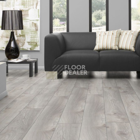 Kronotex Mammut Plus d4793 Дуб Белый Макро фото 4 | FLOORDEALER