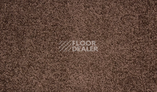 Ковролин Betap Makao 398 фото 1 | FLOORDEALER