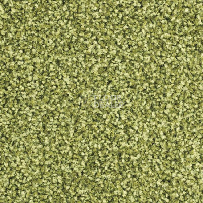 Ковролин Balsan Script 240 фото 1 | FLOORDEALER