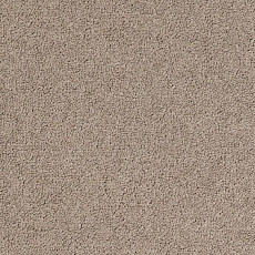 Ковровая плитка Desso Palatino 2923 фото 1 | FLOORDEALER