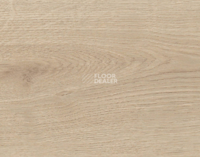 Ламинат Haro Tritty 90 Дуб Бари Пуро 544684 фото 1 | FLOORDEALER