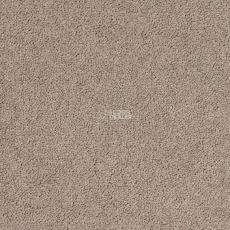 Desso Palatino 2923 фото 1 | FLOORDEALER