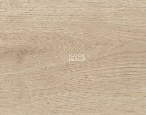 Ламинат Haro Tritty 90 Дуб Бари Пуро 544684 фото 1 | FLOORDEALER