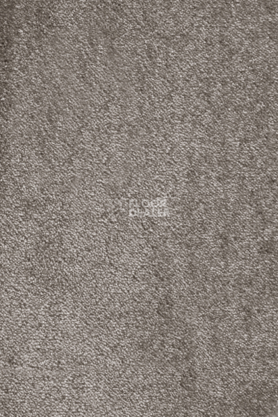 Ковролин AW Masquerade Isotta 49 фото 1 | FLOORDEALER