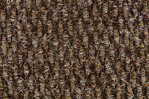 AW Berber Point 650 Galleon 44 фото 3 | FLOORDEALER