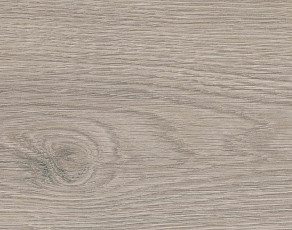 Ламинат Haro Tritty 100 4V Дуб Флавия Серый 544702 фото 1 | FLOORDEALER